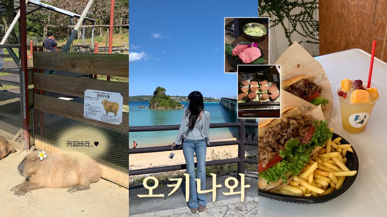2월 오키나와 여행vlog🏝️ | 오키나와동물원,편의점추천, 대박느좋숙소🏠, 코우리섬, 운동화득템⭐️, 존맛소고기까지🥩