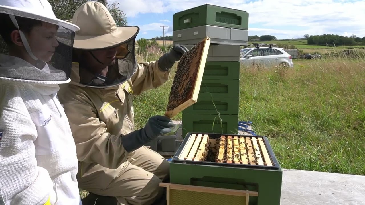 BEE PROOF! | Becoming a Beekeeper | Episode 12