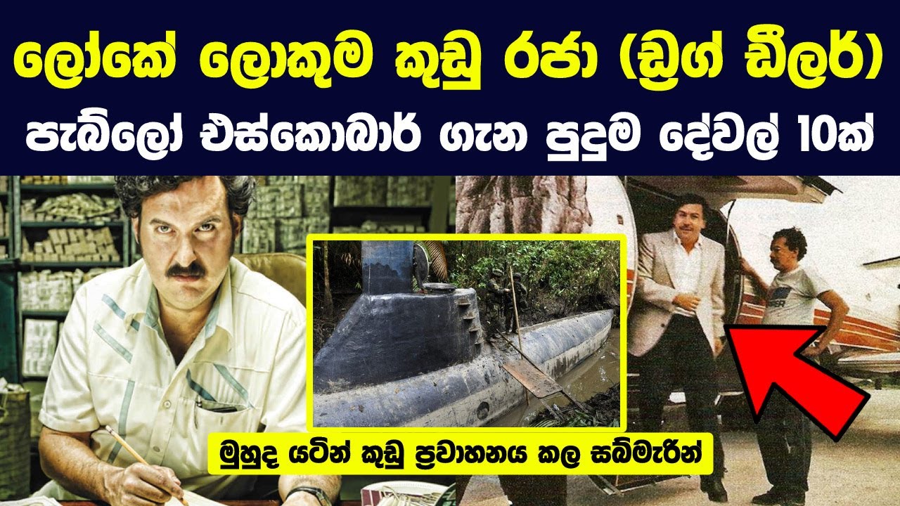 ලෝකේ ලොකුම ඩ්‍රග්ස් ඩීලර් පැබ්ලෝ එස්කොබාර් ගැන පිස්සු හැදෙන දේවල් 10ක් | Pablo Escobar's Wealth