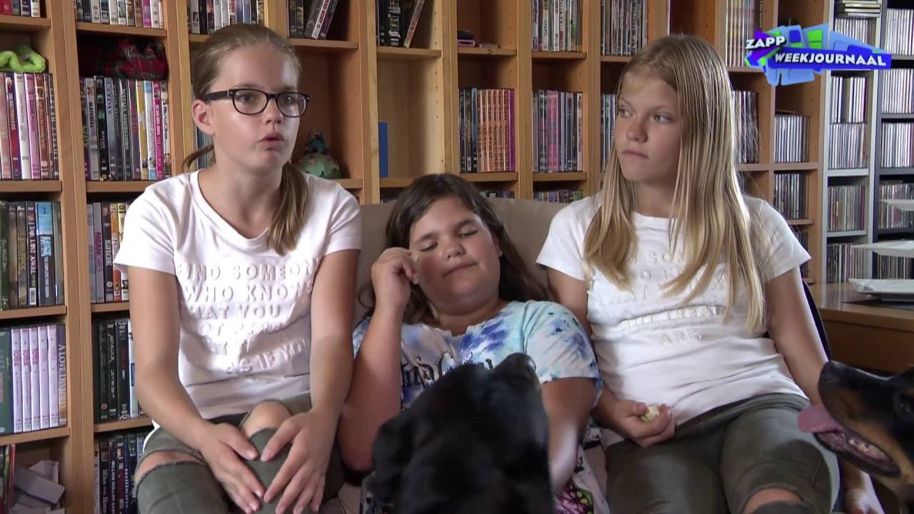 Honden: braaf of bijten?