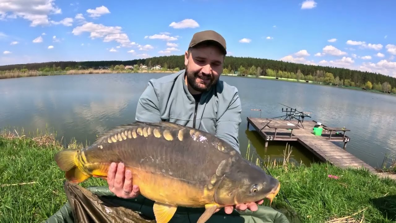50+ кг коропа за день. Озеро Солтанівка.