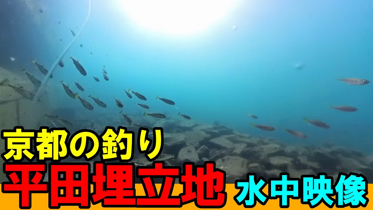 京都・伊根町の平田埋立地で釣りポイントを水中映像で解説！