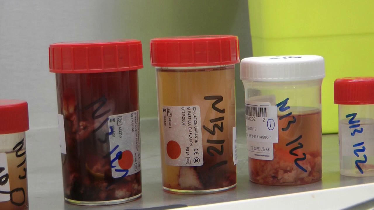 Le métier de technicienne de laboratoire