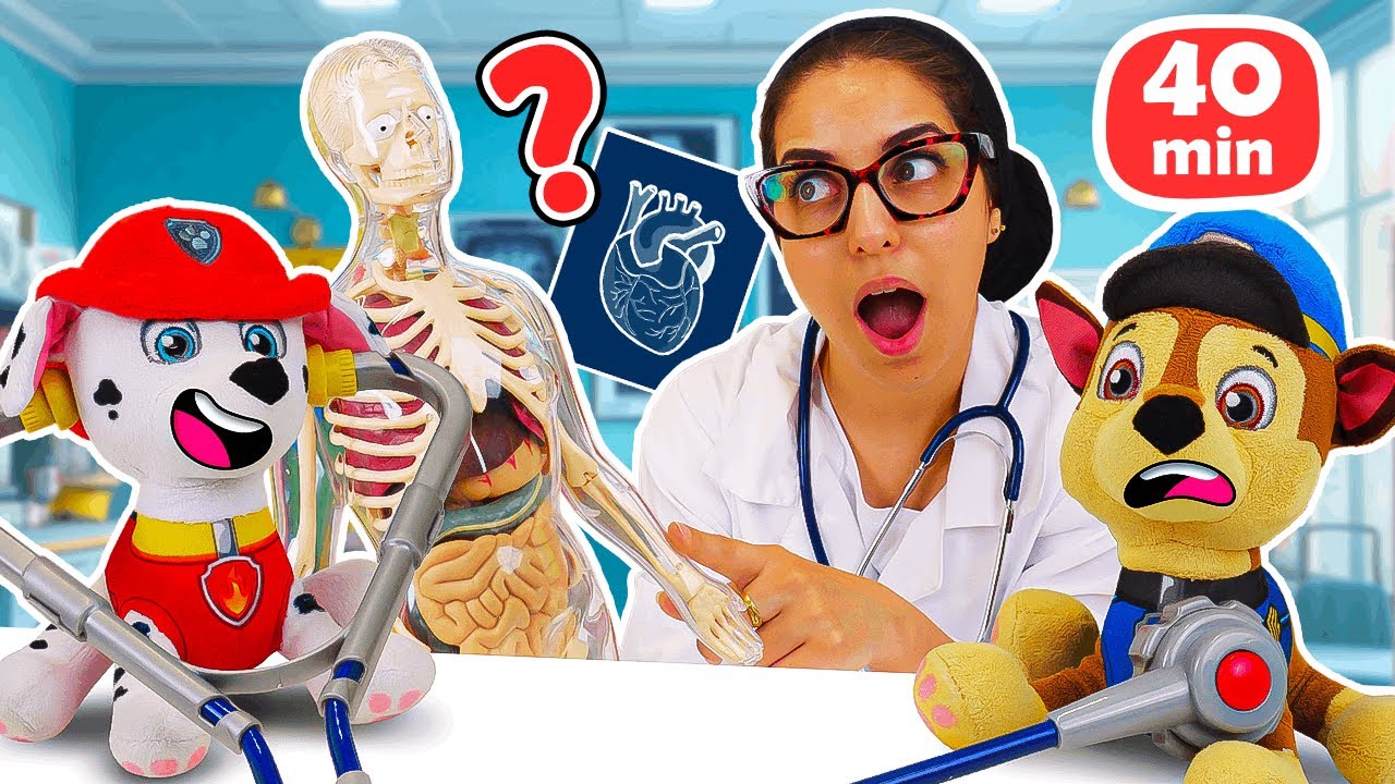 La Pat' Patrouille en peluche chez le docteur 🩻🩺 Compilation de vidéos éducatives pour enfants