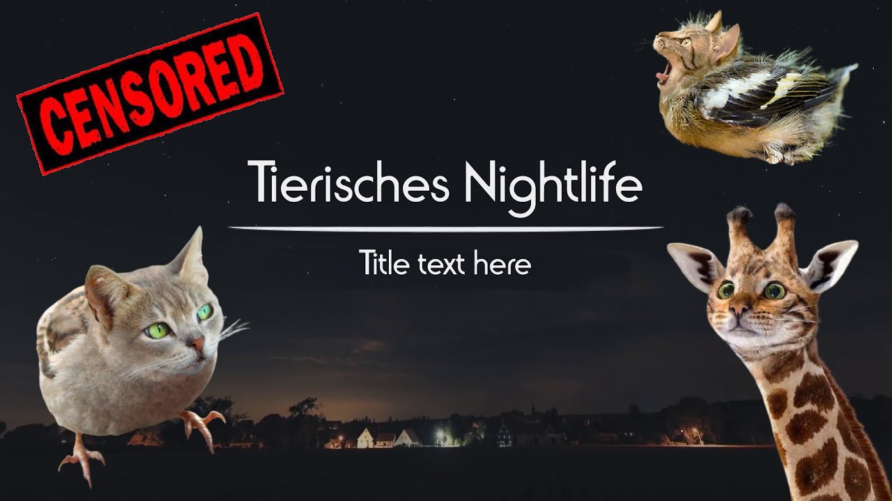 YouTube Kacke: Tierisches Nightlife