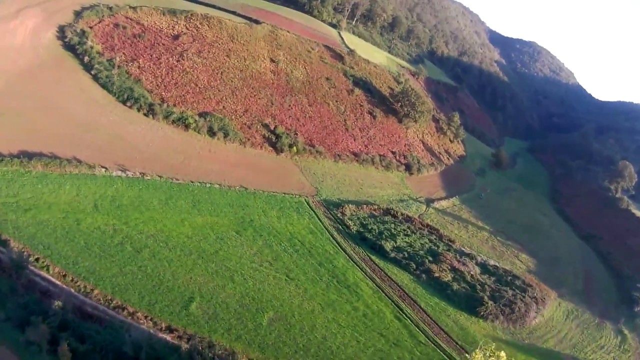 MJX BUGS 2 | Autumn Landscape | FPV Freestyle