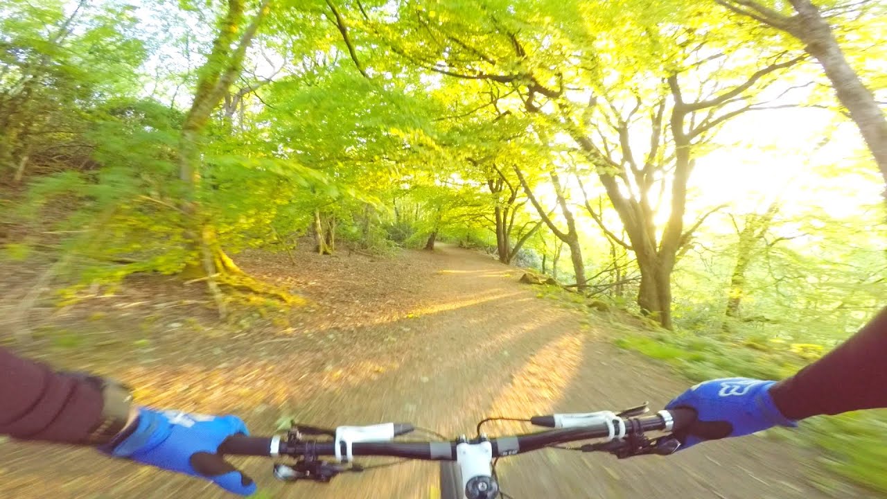 Billinge Woods MTB May 2020