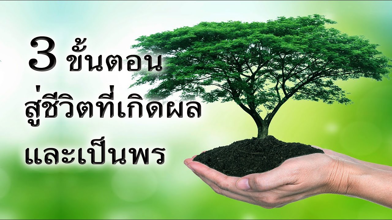 3 ขั้นตอนสู่ชีวิตที่เกิดผลและเป็นพร โดย ศจ.ดร.สุรศักดิ์ DrKerMinistry