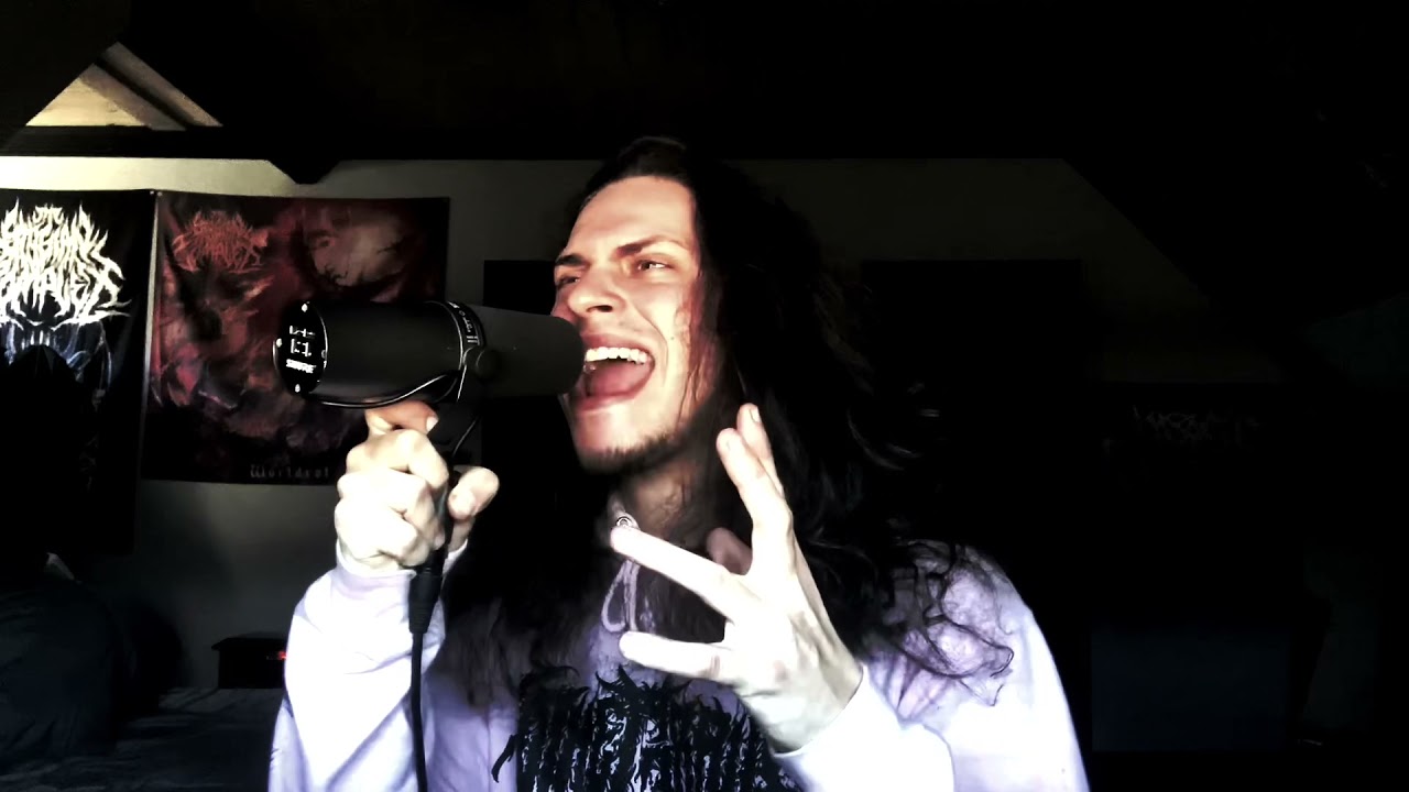 10,000 - Beyond Deviation (vocal cover)