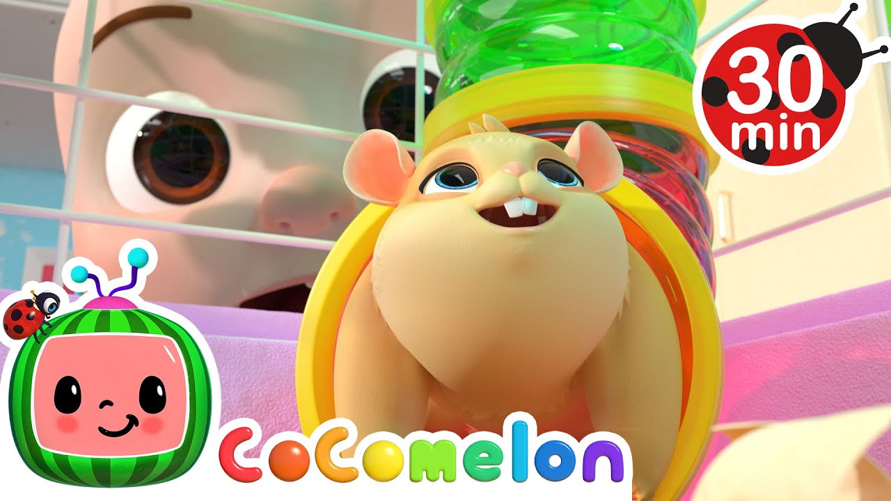 Meet Our Class Pet! | Cocomelon and Little Angel Nursery Rhymes