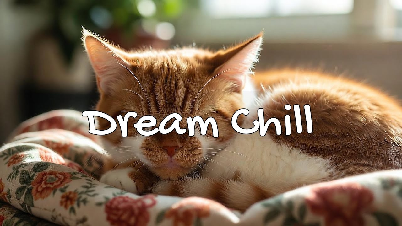LIVE 🐾 Peaceful Cozy Radio for Cats 🐱 | Season 18 | Playlist 🎧