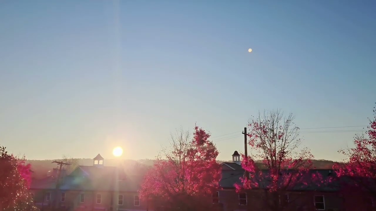 #beautiful