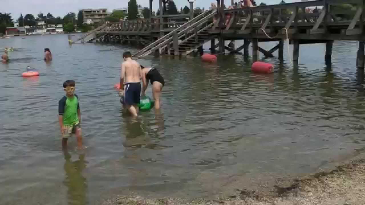 Пляж на берегу Дуная Strandbad Alte Donau