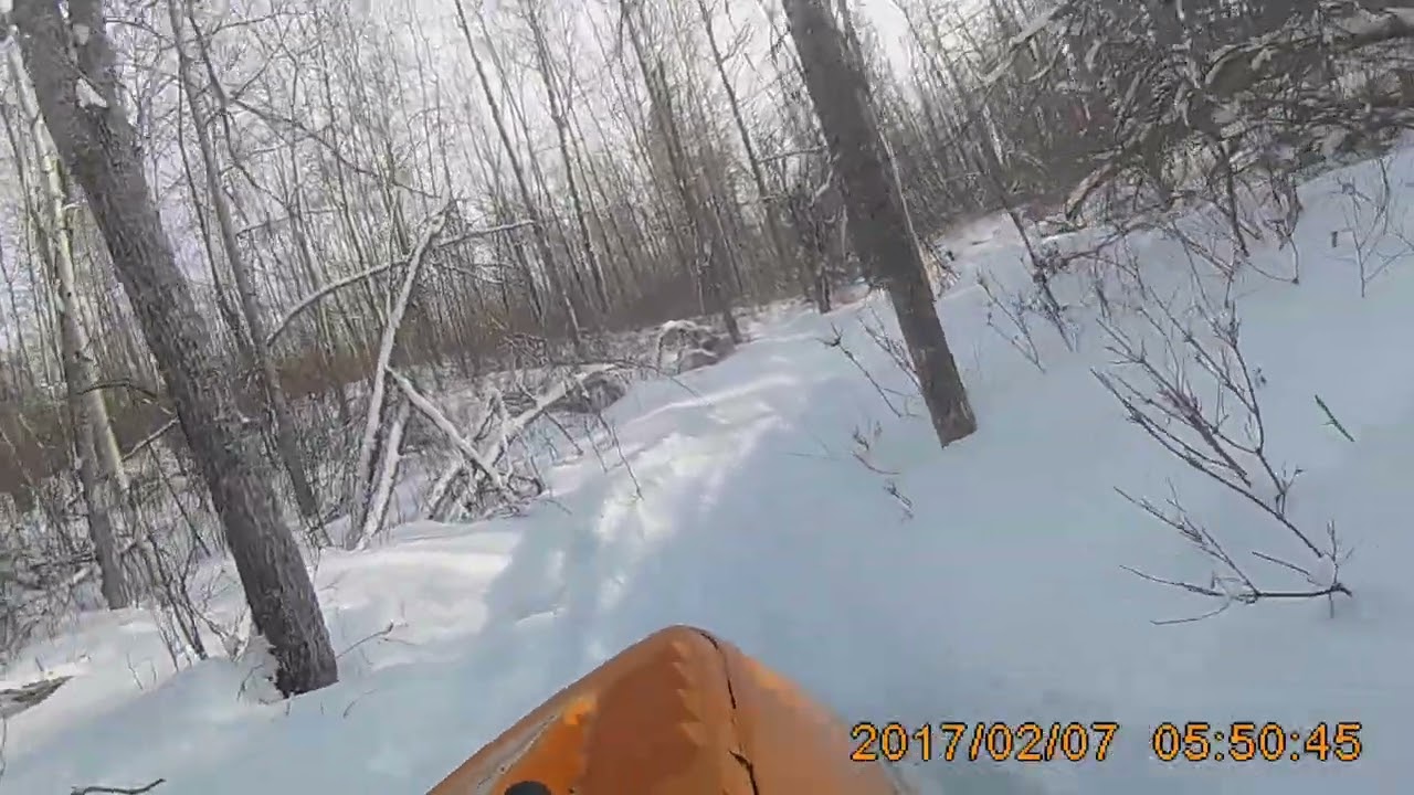 Bush whacking with a Skidoo Alpine circa 1984.