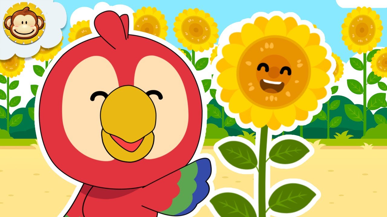 Lagu Anak Anak | Bunga Matahari 🌻 | BaLiTa
