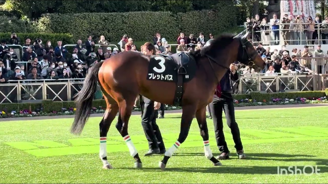 2026.2.28 ブレットパス 中山9R 水仙賞 1勝クラス 芝2200