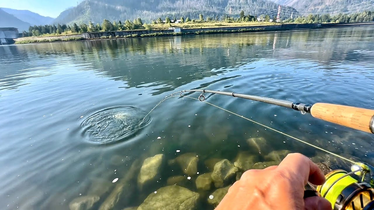 Late June Shad Fishing On the Washington Side Bonneville Dam - Not as Good as Oregon