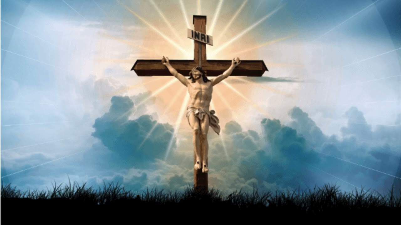 Alpha and Omega ￼
