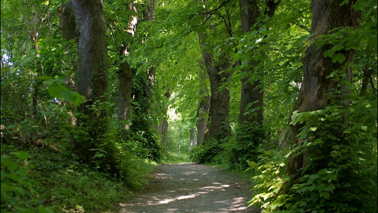 Bantelner Kirchweg