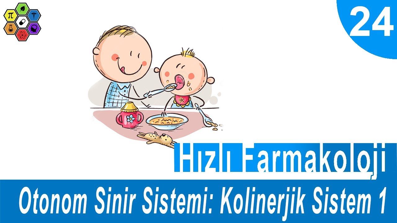 OTONOM SİNİR SİSTEMİ: KOLİNERJİK SİSTEM 1 | Hızlı Farmakoloji #24