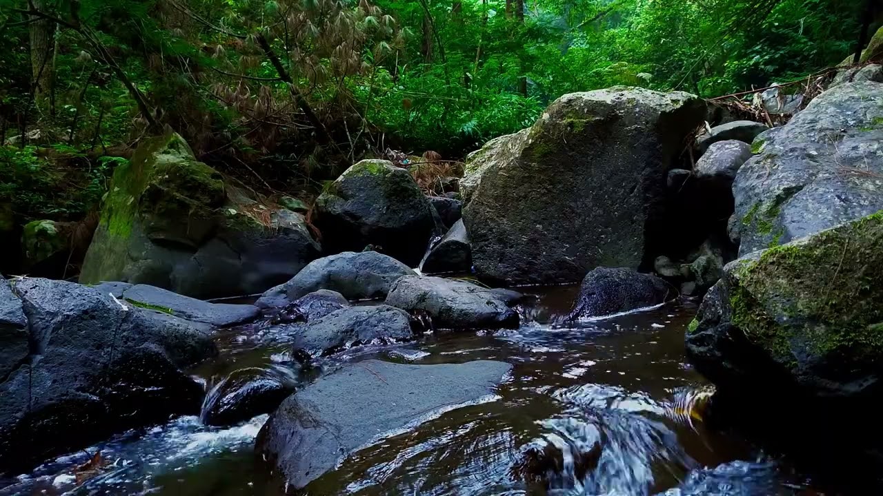 Riverside Peace – Gentle Stream Ambience for Rest | sleep - relax - enjoy life - ASMR