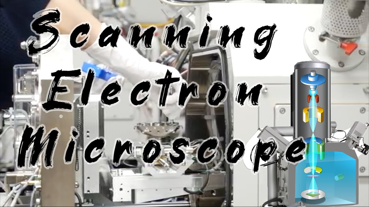 Scanning Electron Microscope | 扫描电子显微镜2 仪器组成和工作原理