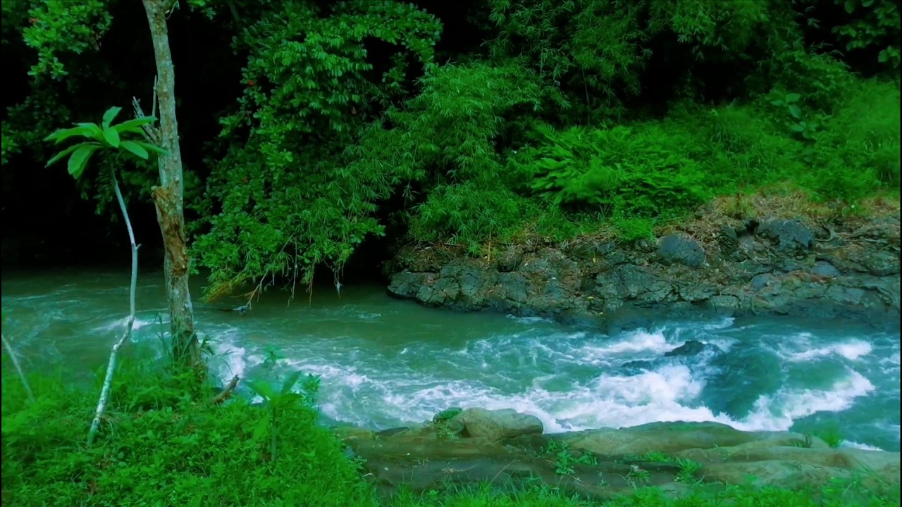 Soothing Water Flowing Ambience for Sleep and Deep Relaxation