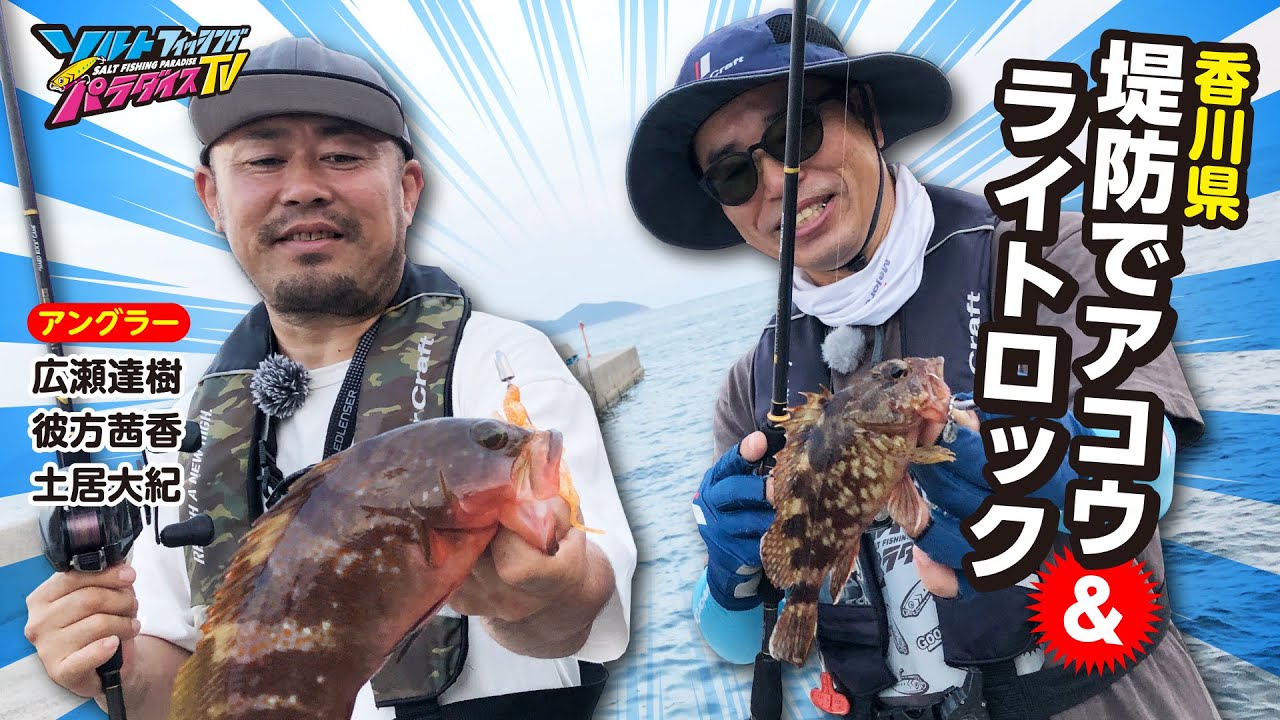 香川県・堤防でアコウ＆ライトロック（ソルパラTV・第153回2023年8月31日放送）