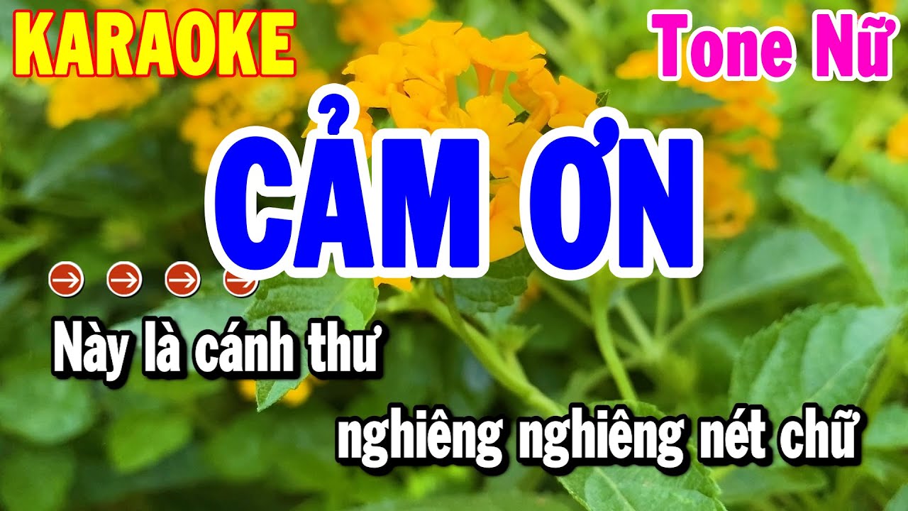 Karaoke Cảm Ơn Tone Nữ Rumba Mới Nhất 2024 | Nhạc Sống Hải Tiên