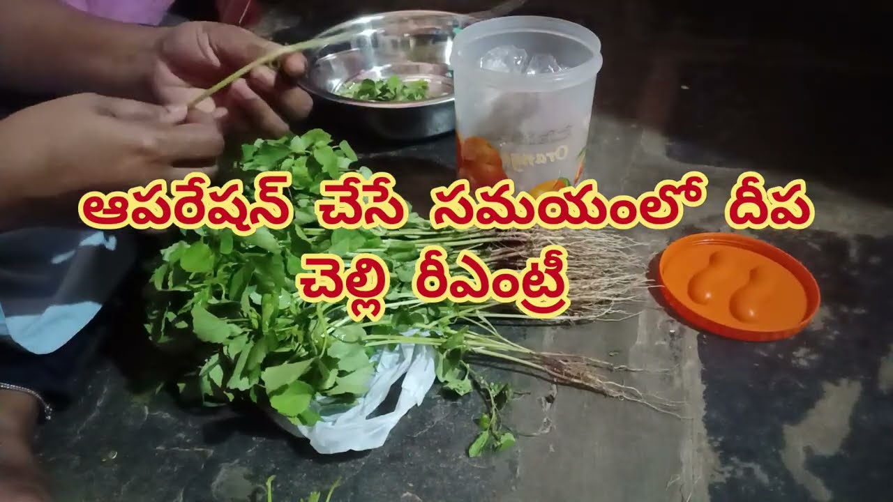 Karthika deepam serial review... దీప చెల్లి రూప రావడం తో మలుపు తిరగనున్న దీప జీవితం షాక్లో జ్యోత్స్న