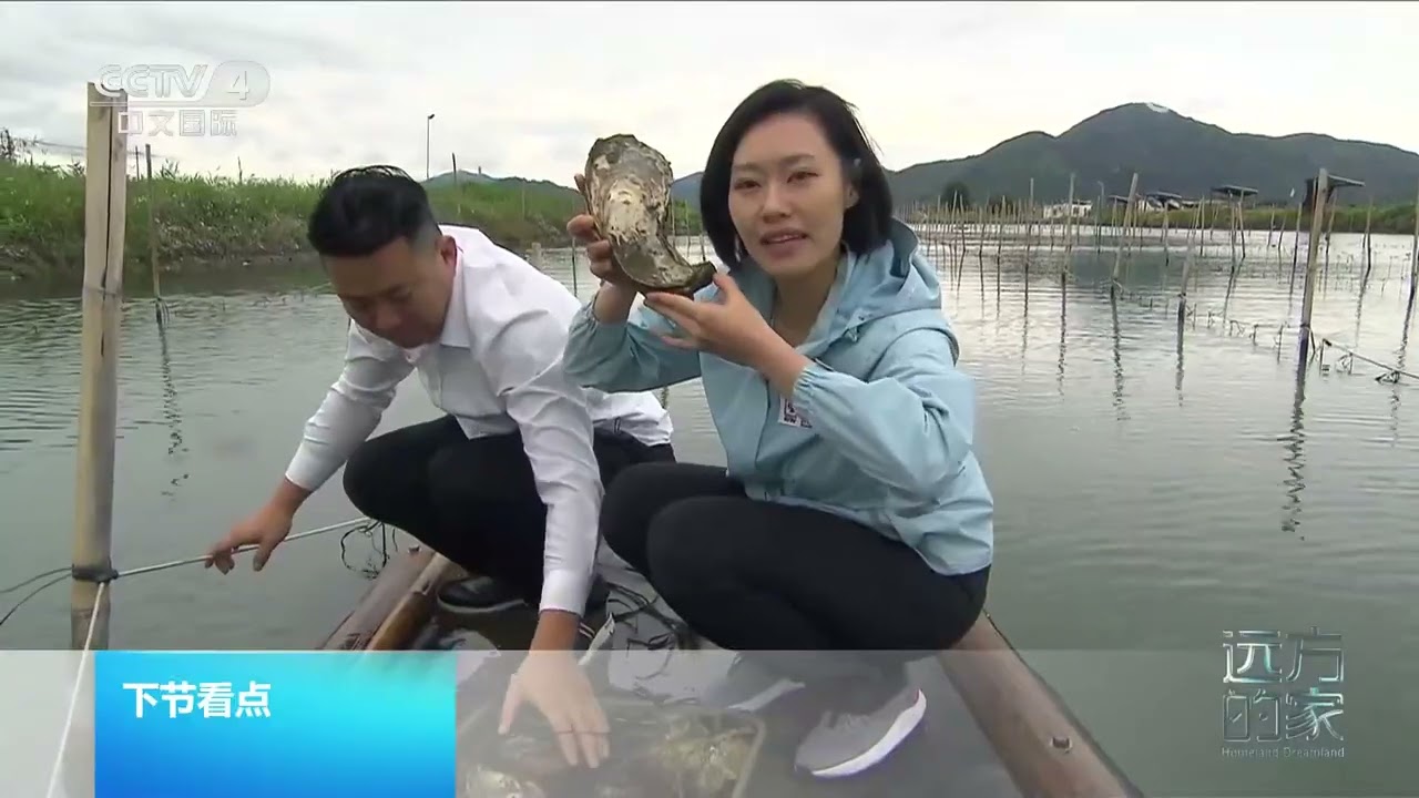 《远方的家》 20240219 山河锦绣看中国 南海之滨 汕尾风情|CCTV中文