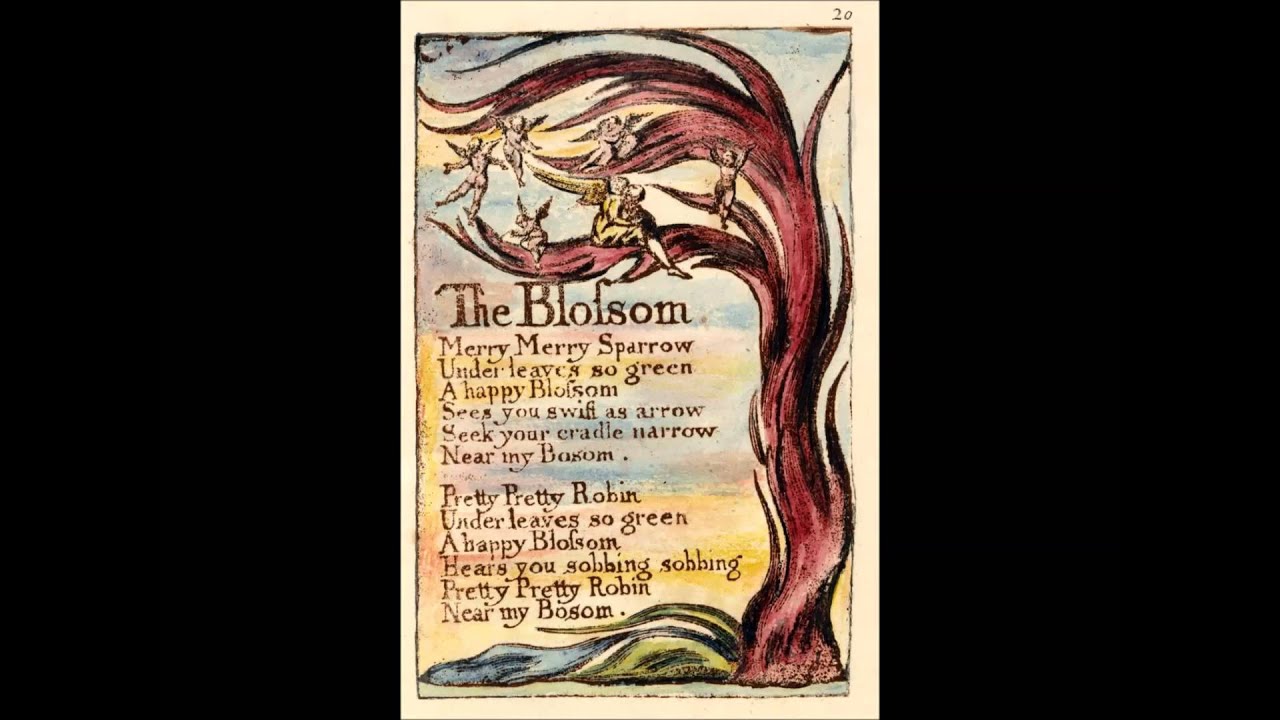 William Blake's Songs Of Innocence - The Blossom.