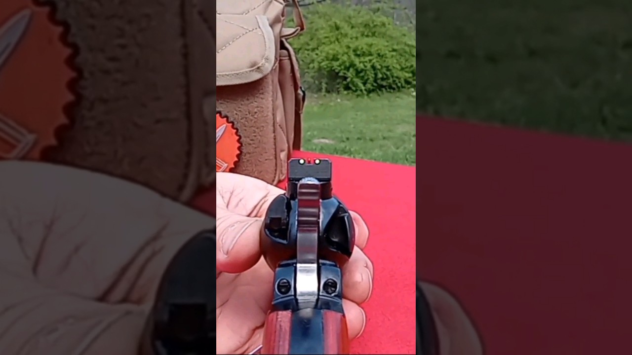 Heritage 9 Inch Adjustable Sights! #rangeready #accurate