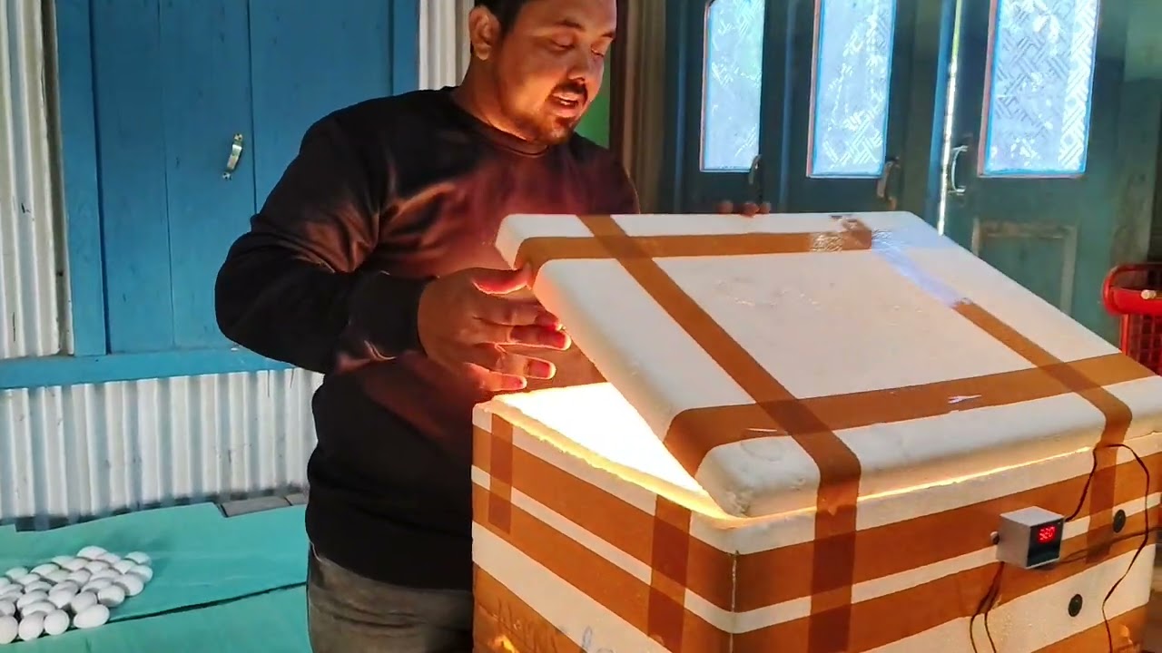 100 ডিম ফুটানোর machine কি ভাবে চোলাবেন। এই mechine নিতে চাইলে যোগাযোগ করবেন।