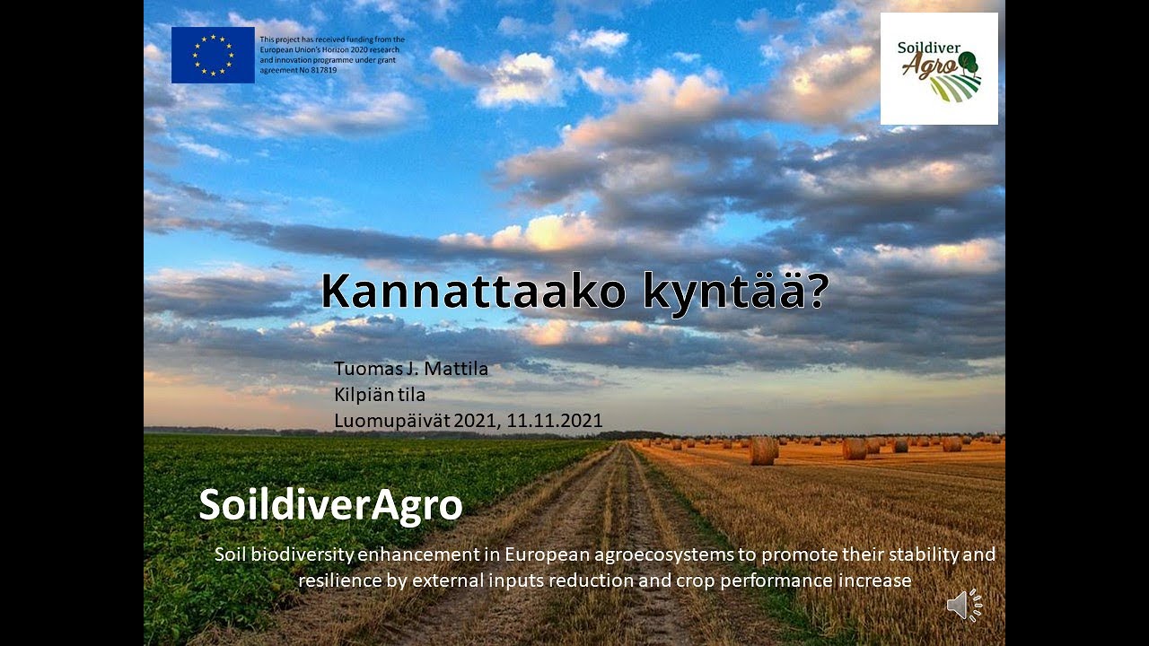 Kannattaako kynt&auml;&auml;? Tuomas Mattila