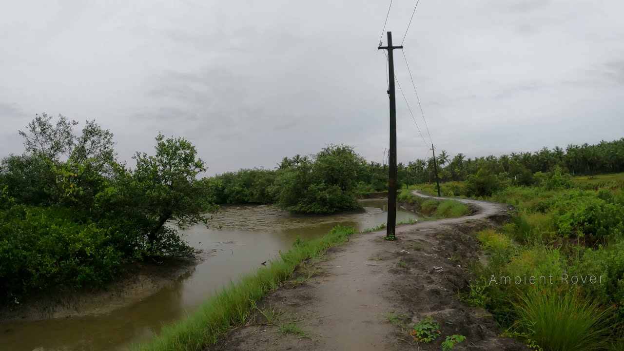 4K ASMR, Early Morning Walk through a Village in Kerala During Monsoon