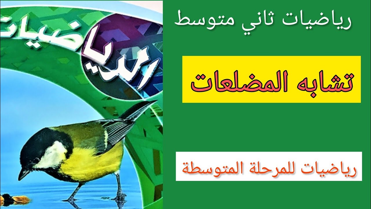تشابه المضلعات رياضيات ثاني متوسط