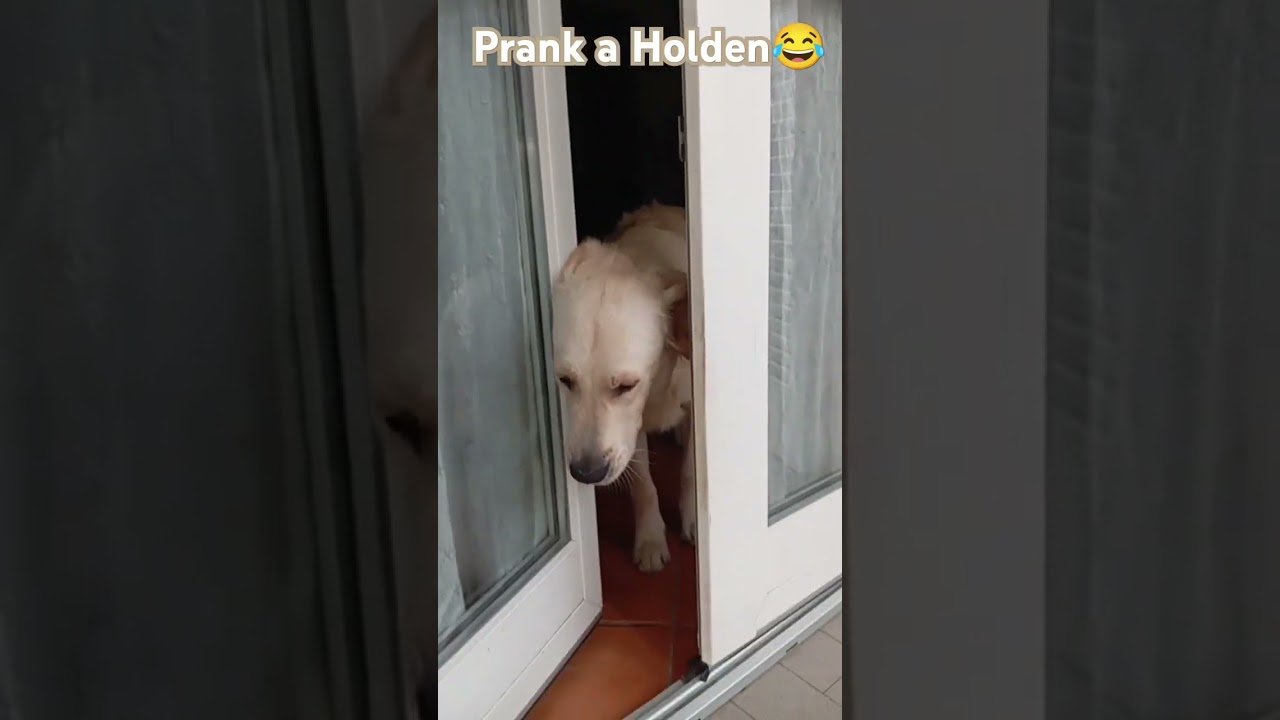 Prank a Holden 😂 