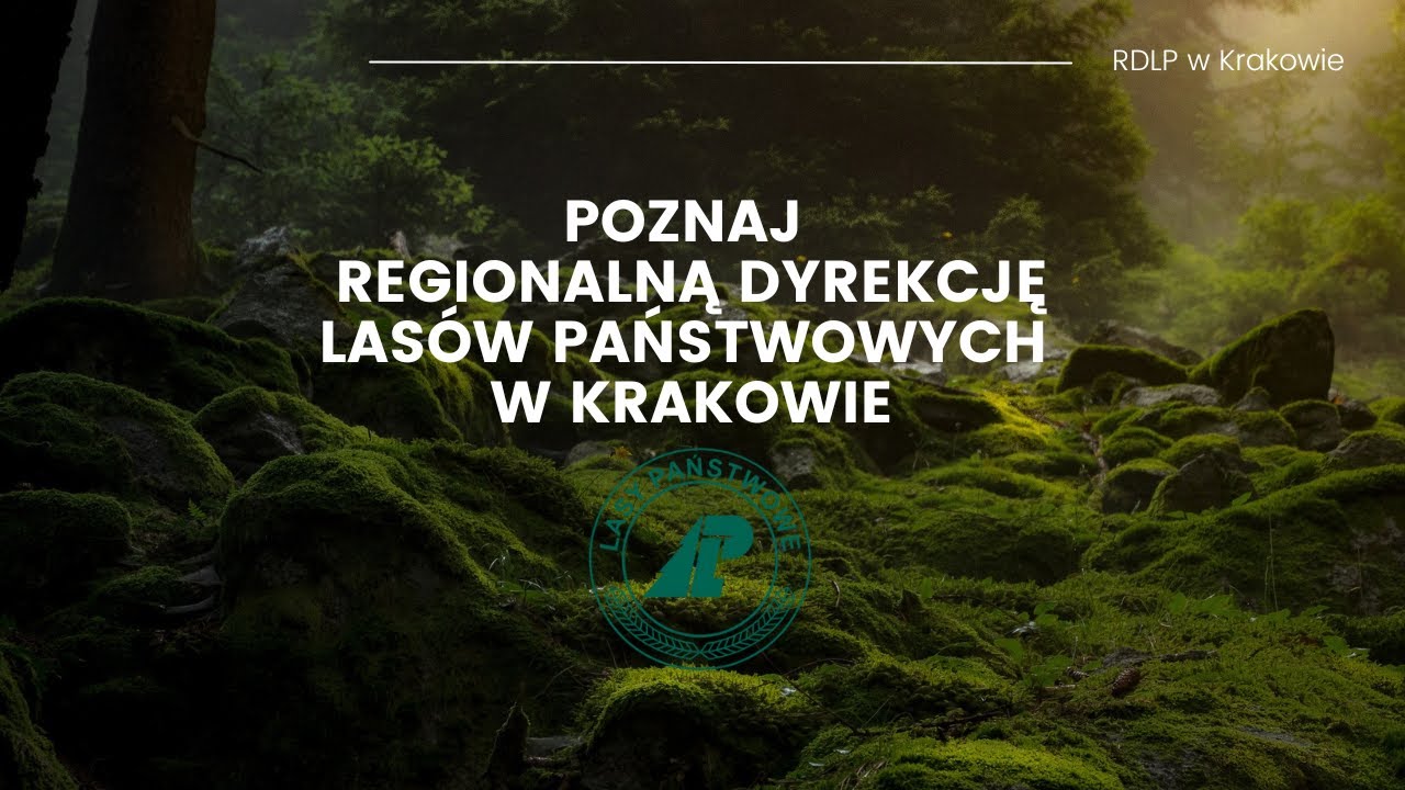 Poznaj Regionalną Dyrekcję Lasów Państwowych w Krakowie