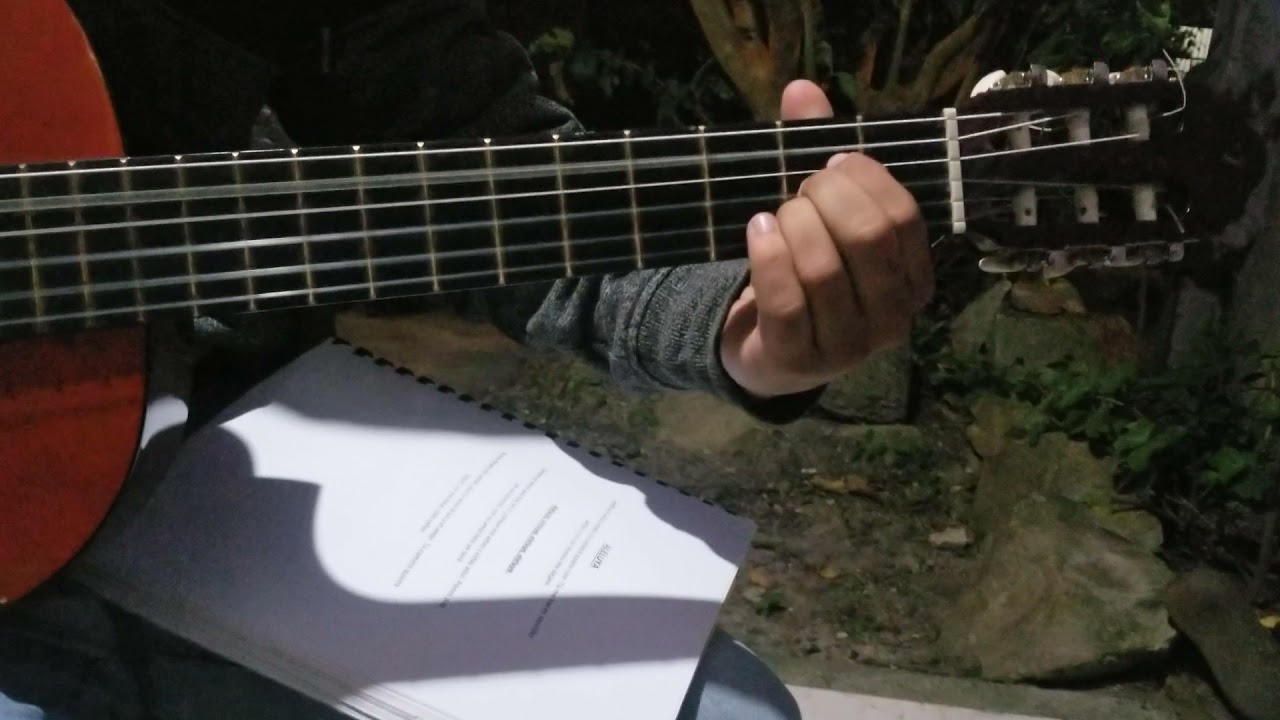 Canto de Aleluya - Junto a ti Jesus