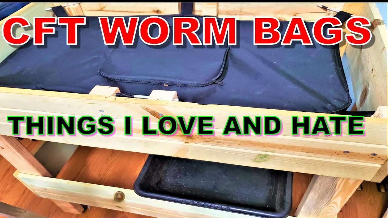 Huge Worm Bag-African Night Crawlers - High Maintenance Worms
