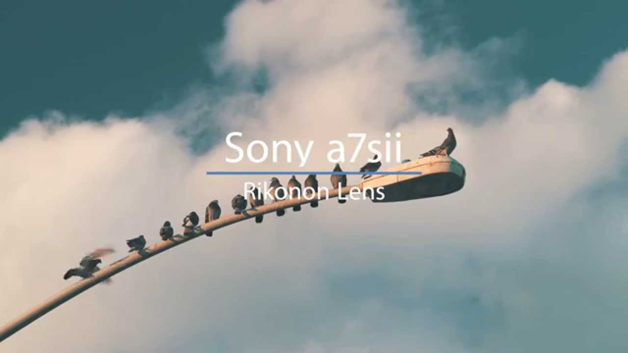 SONY a7sii in 4k with Rokinon lens