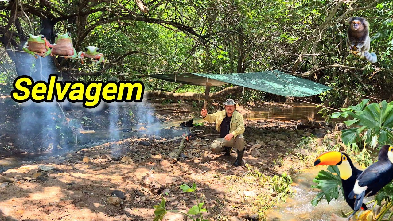 Acampei e Pesquei em um ILHA no meio da mata, Pescaria com vara de bambu!