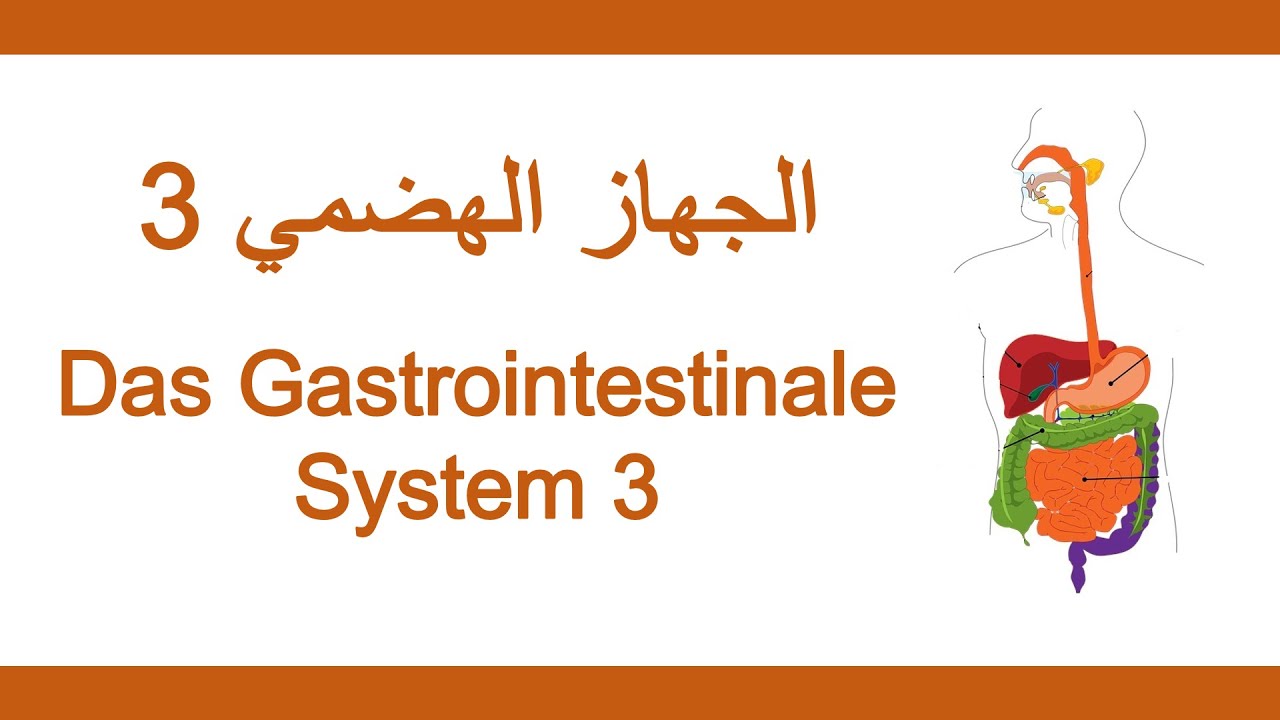 21_اللغة الألمانية الطبية - الجهاز الهضمي 3 | Medizinische Fachsprache - Gastrointestinales System 3