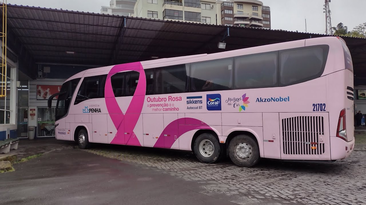 Movimento na Rodoviária de Caxias do Sul ( G7 Rosa Da Empresa Cruz)
