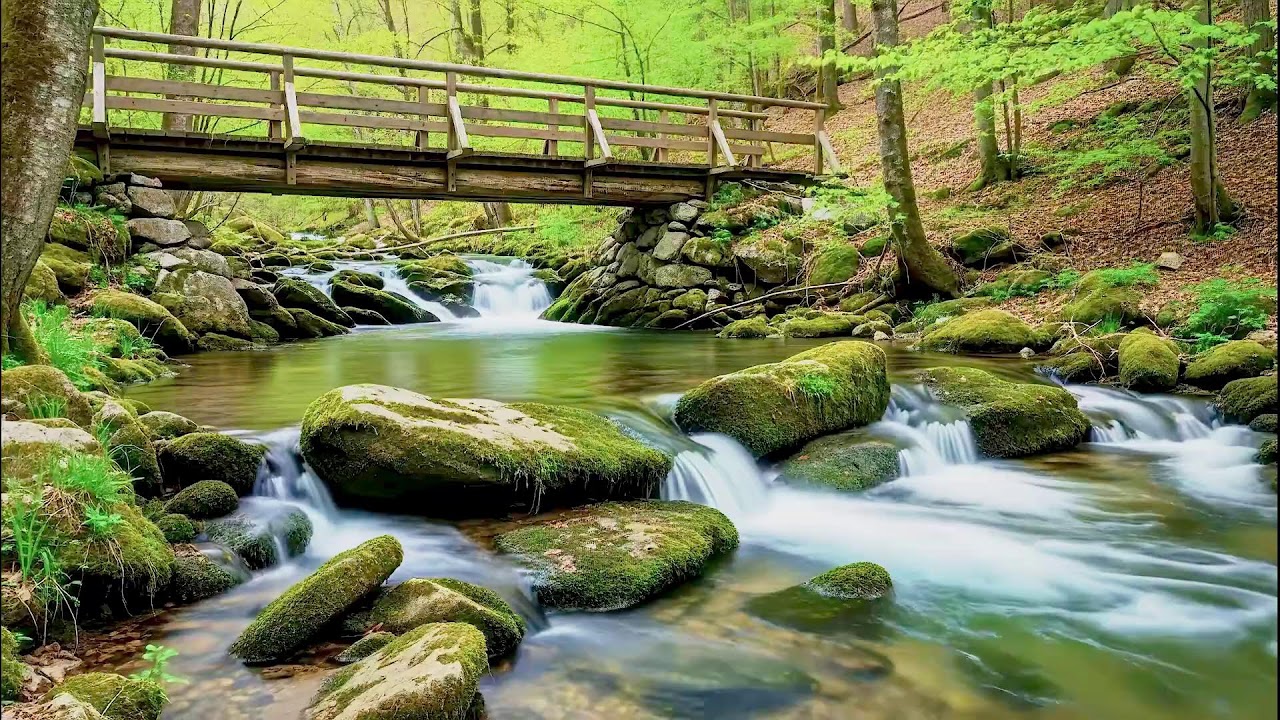 Gentle River Sound for Deep Sleep | Soothing Audio Therapy for Mental Wellness