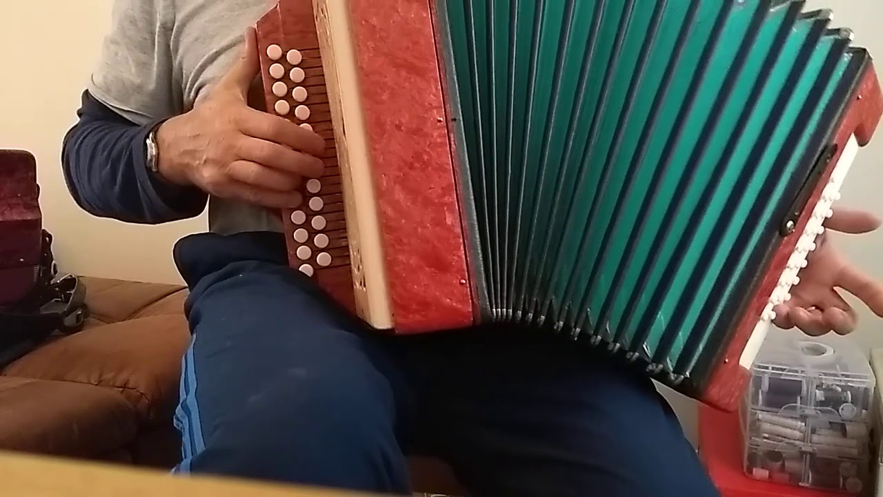 Armonika/Гармонь - Beer Barrel Polka Played on Diatonic button accordion ( Russian)