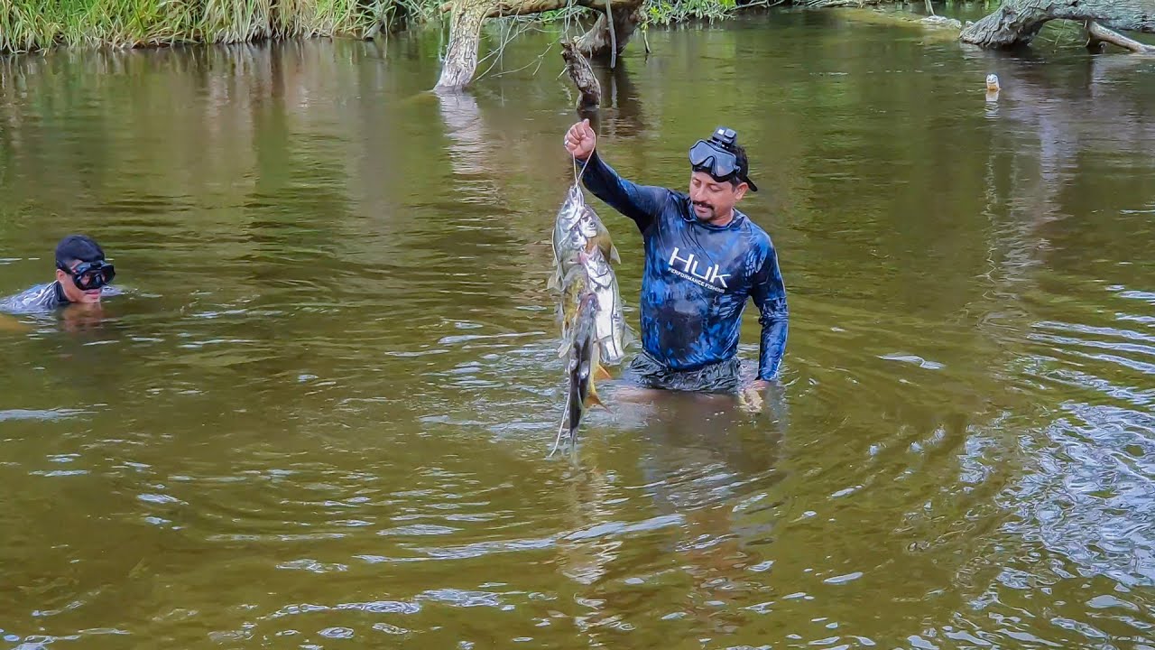 Pesca Con Arpón un Rio Lleno de Muchos Peces
