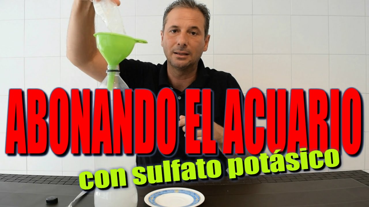 Abonando el acuario con sulfato potásico