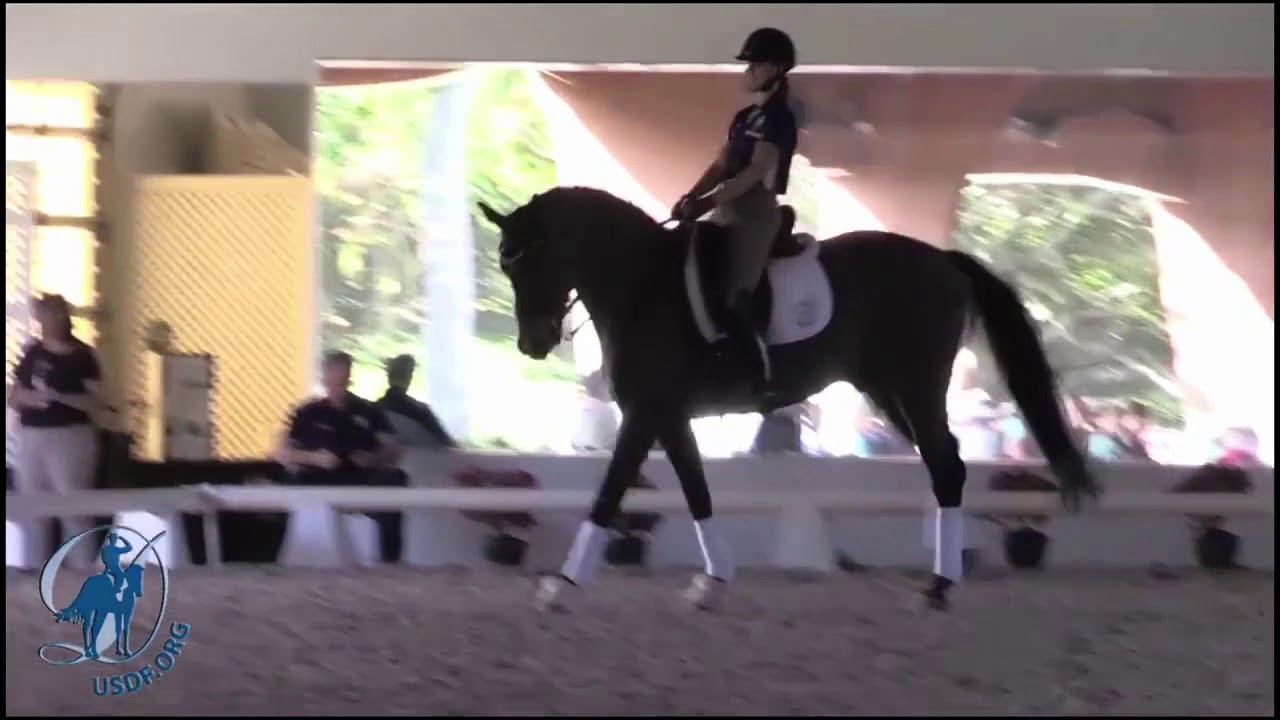 Teaching the Canter Pirouette
